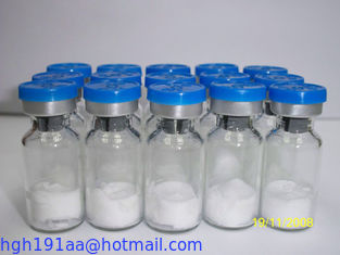 PT-141 Synthetic amino acid protein  supplier