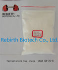 China Oral / Injectable Steroid Compound Raw Testosterone Powder Propionate CAS 57-85-2 distributor