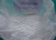 China Legal Healthy Isocaproate Raw Testosterone Powder without Side Effects 15262-86-9 distributor