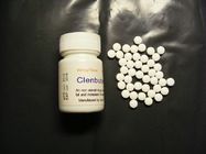 China Clenbuterol Clen 60 Beta-2 Muscle Mass Building Supplements Agonist / Antagonist distributor