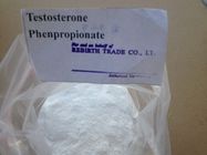 Best Testolent 1255-49-8 Testosterone Phenylproprionate Raw steroid powder for Muscle Gain for sale