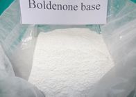 98% Pure Raw Boldenone Powder Boldenone Steroid Compound CAS 846-48-0 for Bodybuilder for sale