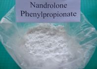 China 99% Pure Nandrolone Steroid Phenylpropionate Durabolin bodybuilding CAS No. 62-90-8 distributor
