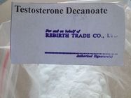 China Increase Bone Density / Strength Raw Testosterone Powder  99% Pharmaceutical Grade distributor