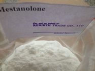 China CAS 521-11-9 Raw Anabolic Nandrolone Steroid Mestanolone Powder for Pharmaceutical Material distributor