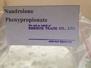 China Legal Nandrolone Phenylpropionate Nandrolone Steroid 62-90-8 Use After Surgery distributor