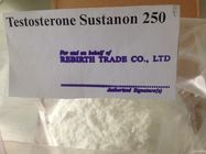 China White / Off - White Raw Testosterone Sustanon For Burning Body Fat distributor